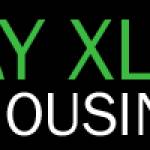 SF Bay Xlency Limousines