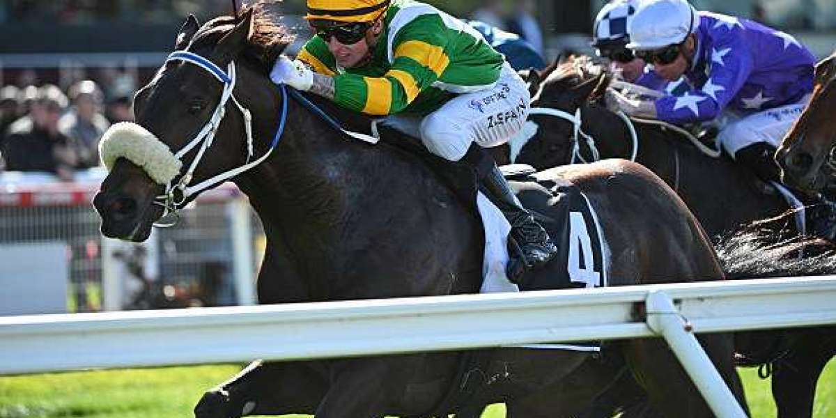 Top Australian Betting App: How to Choose the Best Platform for Your Wagers
