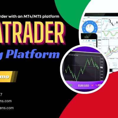 Why Businesses Are Moving Toward MT4 & MT5 Trading Platform Development Profile Picture