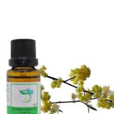 Litsea Cubeba Organic Essential Oil Profile Picture