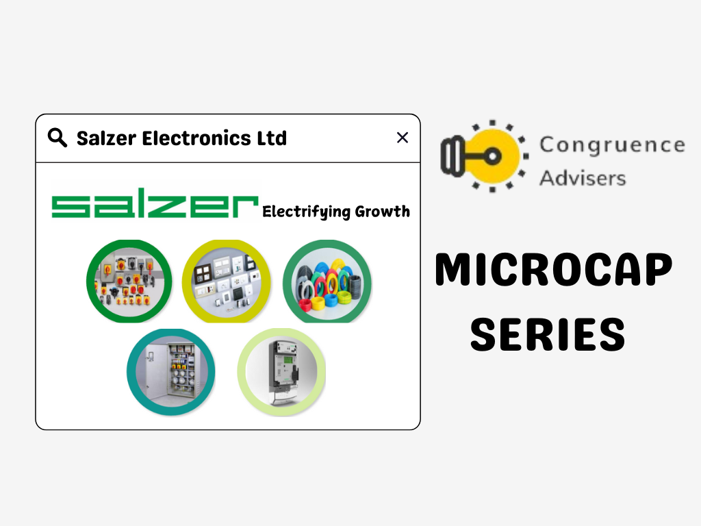 Salzer Electronics Share Analysis : Here's Why You Should Invest