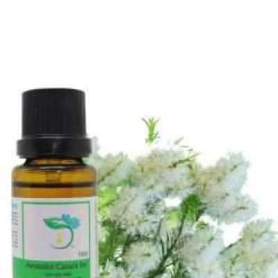 Tea Tree (Lemon) Essential Oil Profile Picture