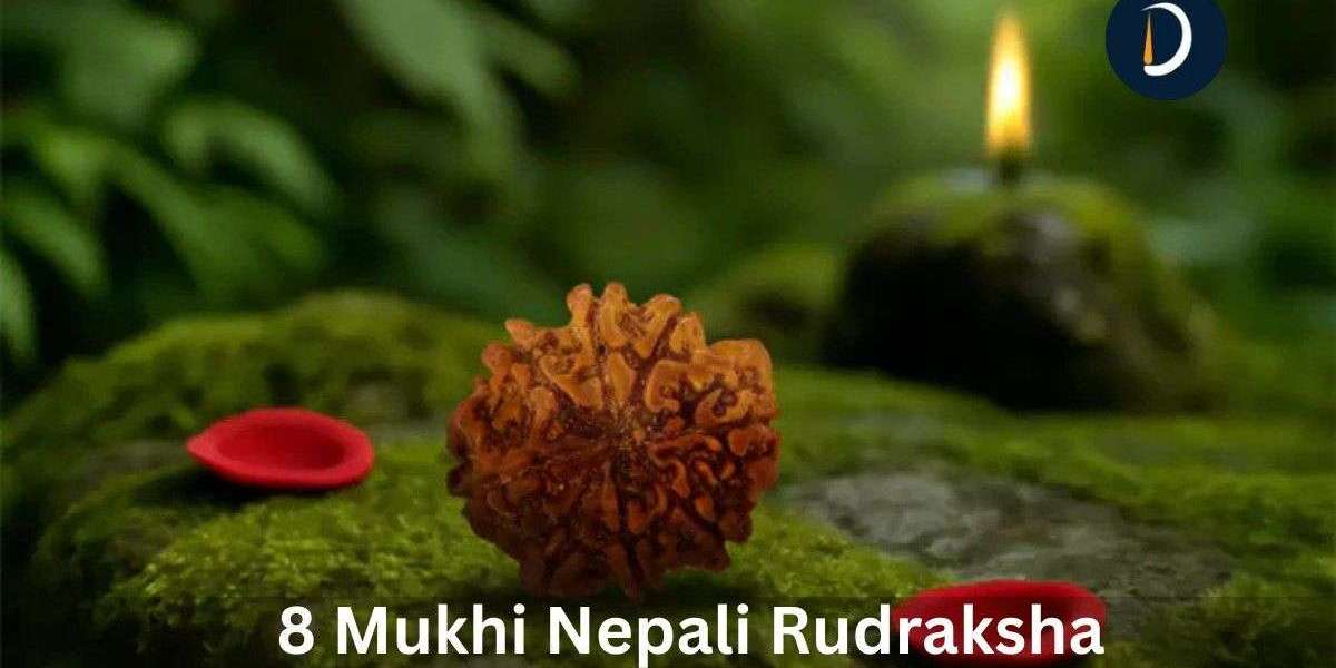 Original 8 Mukhi Nepali Rudraksha | Meaning And Uses