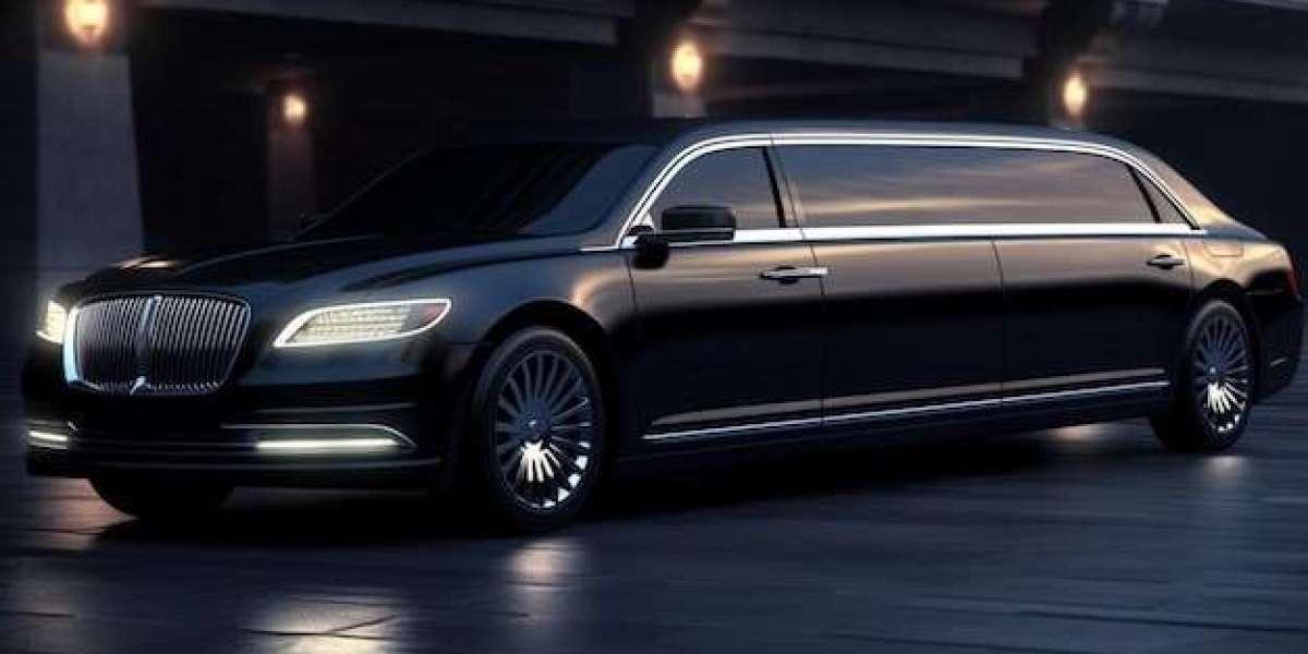 Bachelorette Party Bus Turn Every Ride into a Celebration