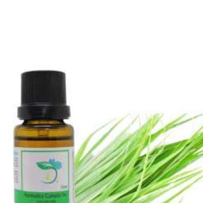 Palmarosa Essential Oil Profile Picture