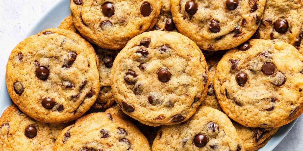 South East Asia Cookies Market Outlook, Trends, and Growth Forecast 2025-2033