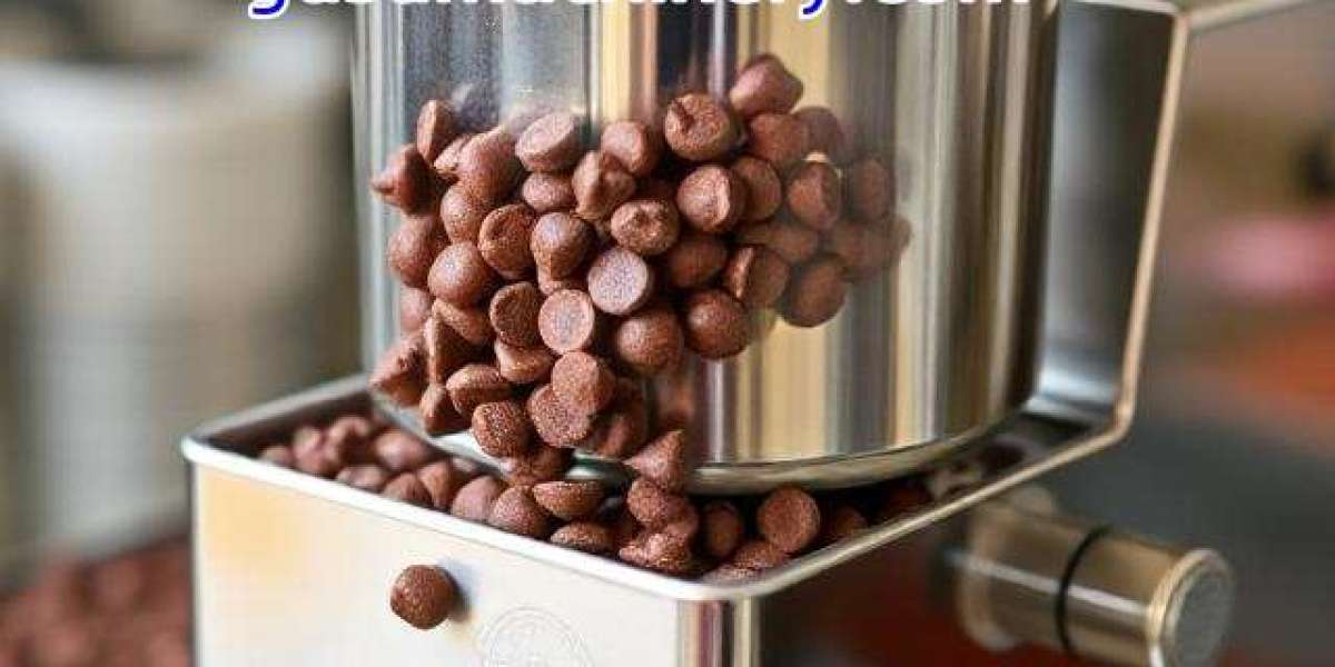 What Makes Gusumachinery Chocolate Ball Mill a Reliable Choice