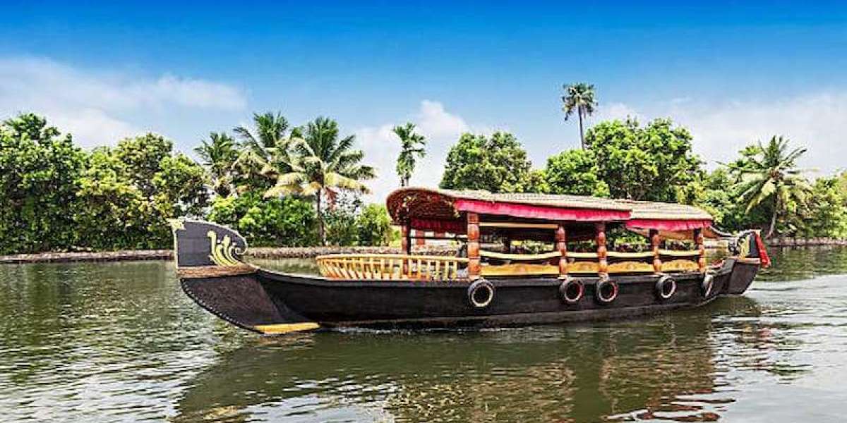 Backwaters & Beyond: Unique Experiences to Add to Your Kerala Tour Package