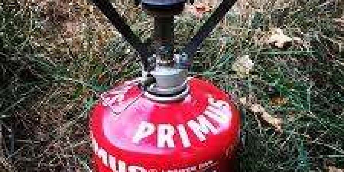 Bluefirecan 450g Gas Canister – High-Capacity Fuel for Outdoor Adventures