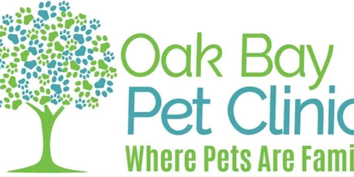 Victoria Vet Clinic | Comprehensive & Compassionate Care at Oak Bay Pet Clinic