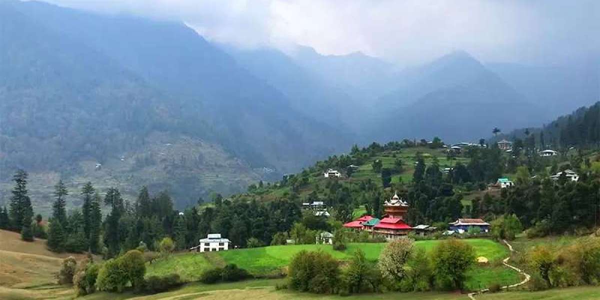 Explore the Hills with the Best Narkanda Tour Package from Chandigarh