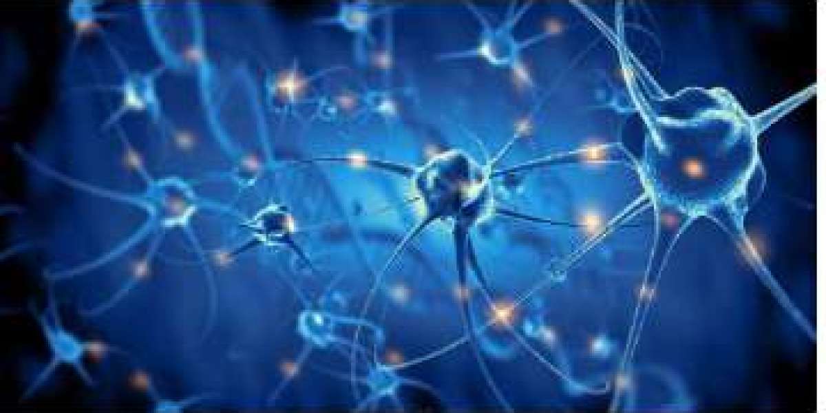 Pioneering Cell Models Chart New Directions in Parkinson's Disease Treatment