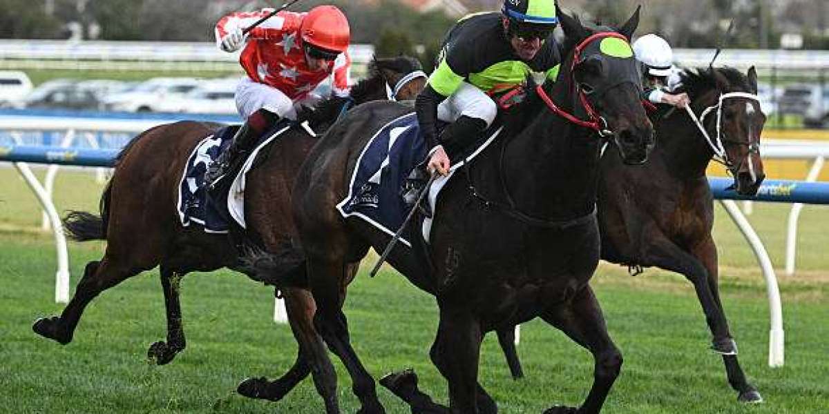 Expert Gallops Betting Tips to Boost Your Racing Wins