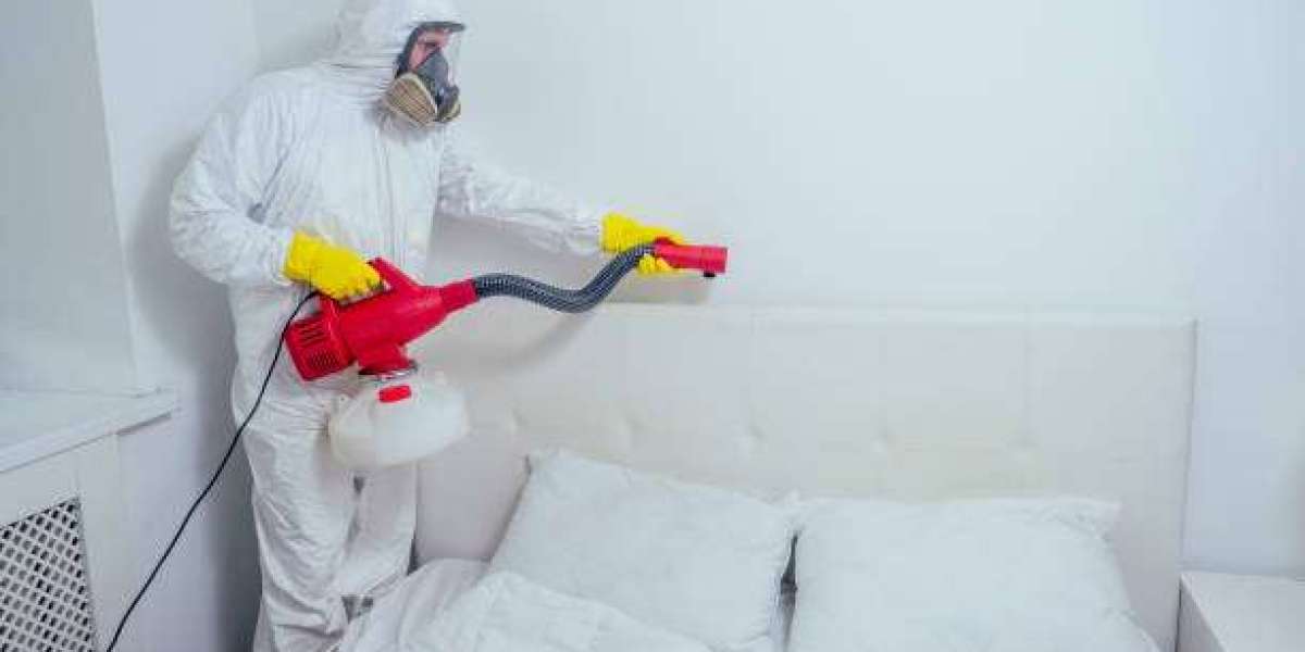 Bed Bug Control in El Paso, TX | Terminix Pest Experts