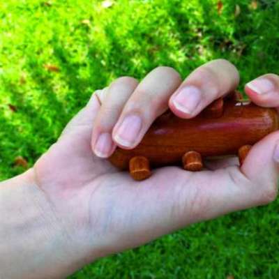 CCcollections Multipoint Cactus Hand Massage Tool | Reflexology & Chi Activation for Feet &  Profile Picture