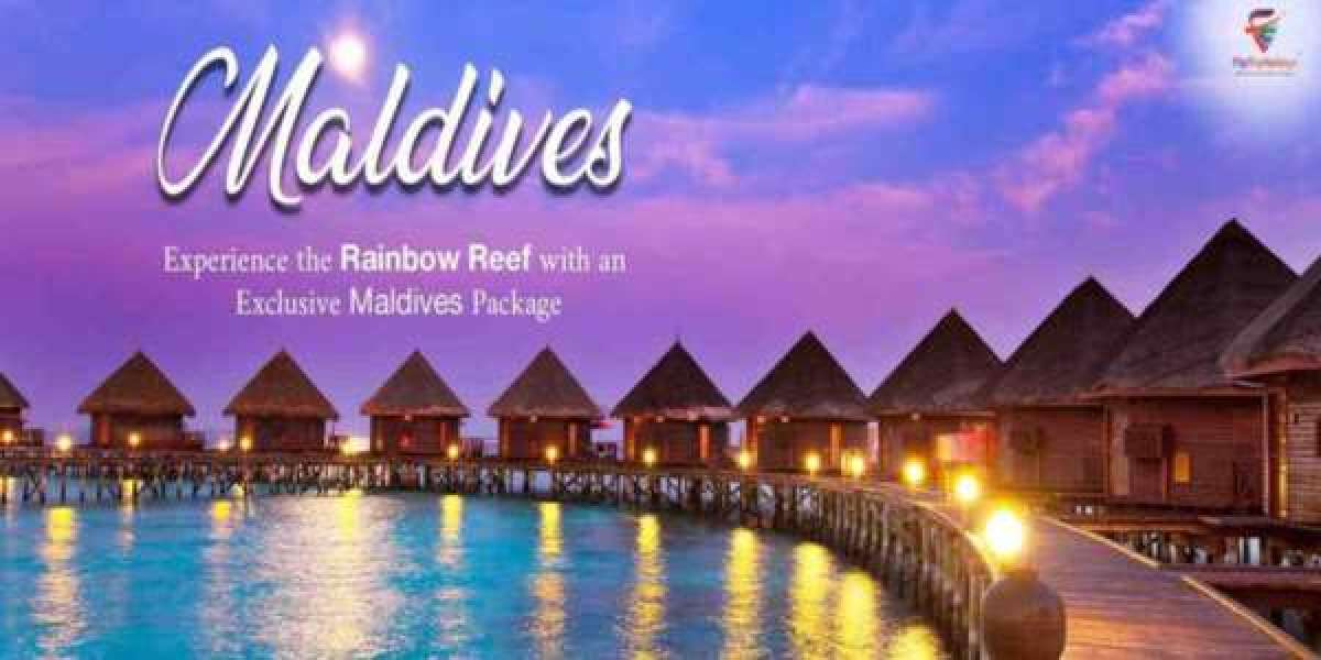 Experience the Kaleidoscopic Rainbow Reef with an Exclusive Maldives Tour Package