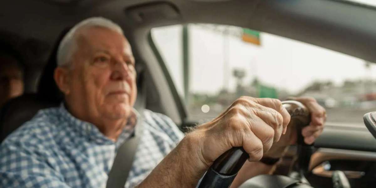 Your Licence, Your Livelihood: A Professional Driver's Guide to Motoring Lawyers