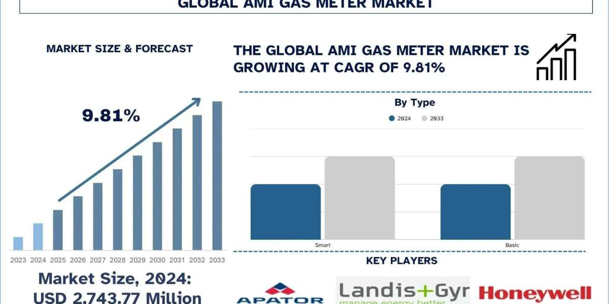 AMI Gas Meter Market Size, Share, Trends & Research Report,2033 | UnivDatos