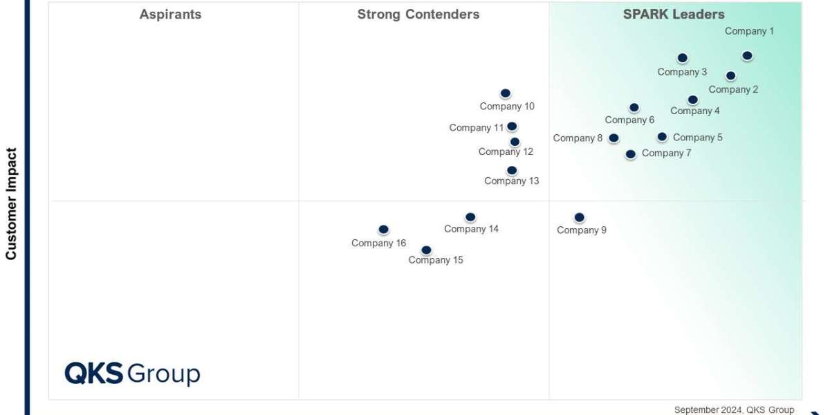 SPARK Matrix™: Retail Assortment Management Application