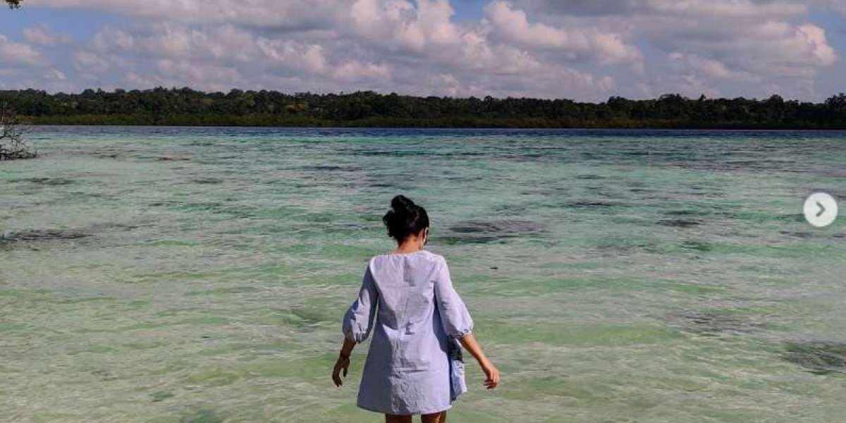 Plan a Memorable Trip to Andaman from Chennai with Expert Travel Help