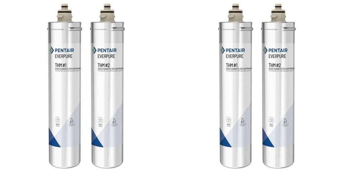 Why Everpure Water Filter Cartridges Are Trusted by Restaurants and Homeowners Alike