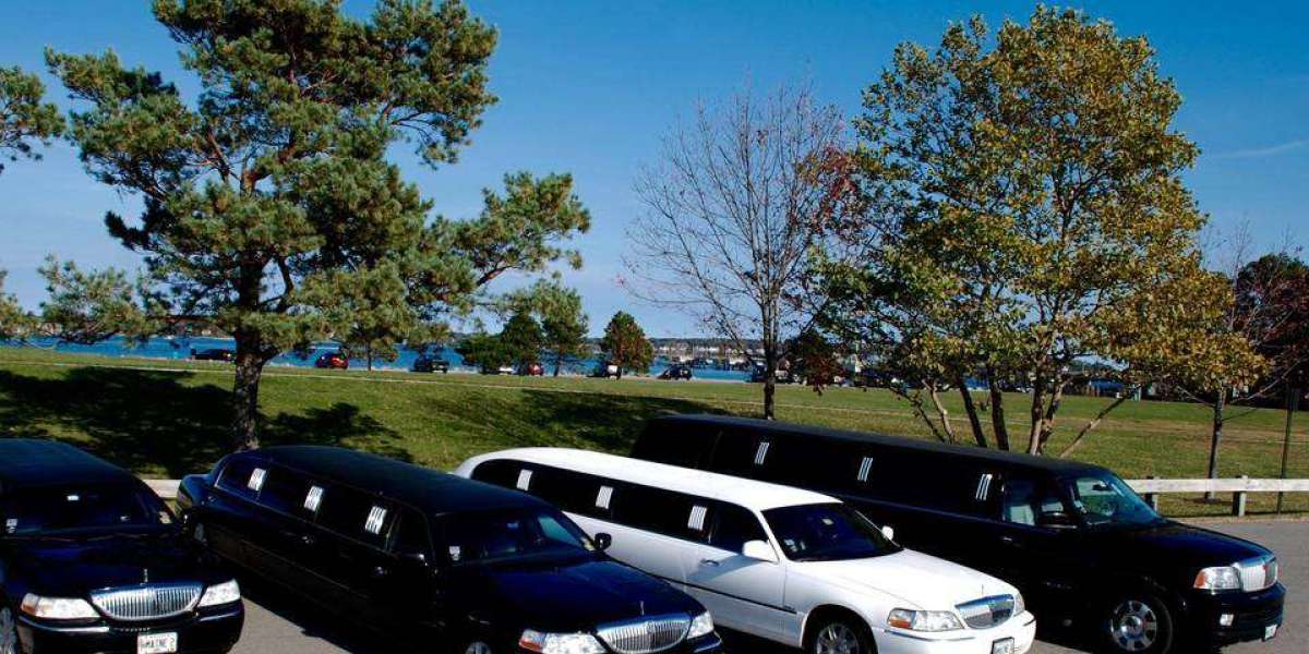Wedding Limo Service Packages – Luxury You’ll Always Remember
