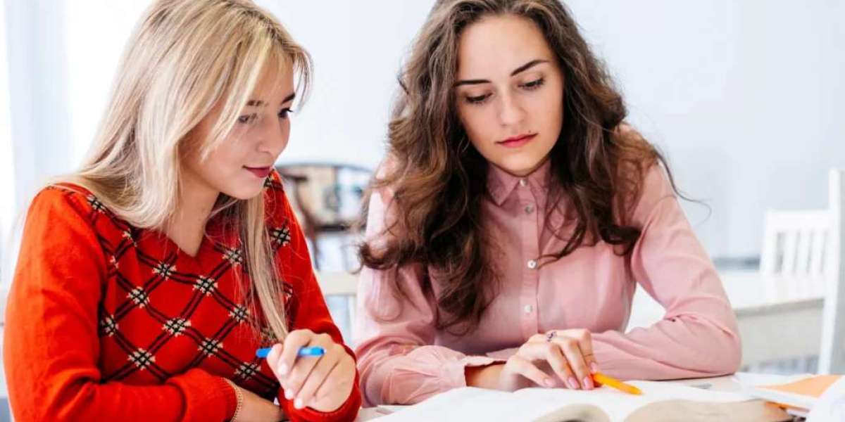 Why Students Choose Dublin Assignment Help Services for Excellence