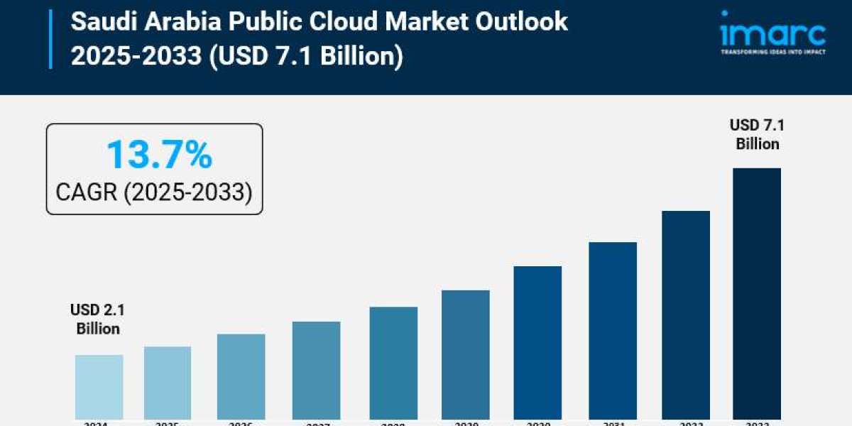 Saudi Arabia Public Cloud Market Analysis, Key Players, Growth, and Forecast 2025-2033