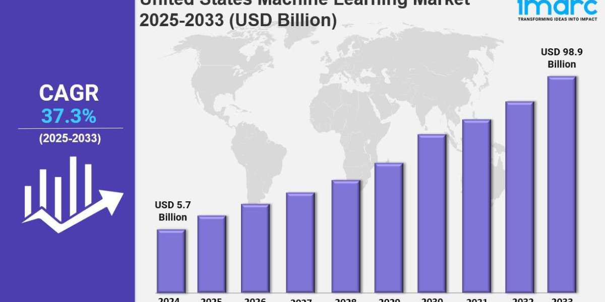 United States Machine Learning Market Size, Share, Industry Trends, Growth and Forecast 2025-2033