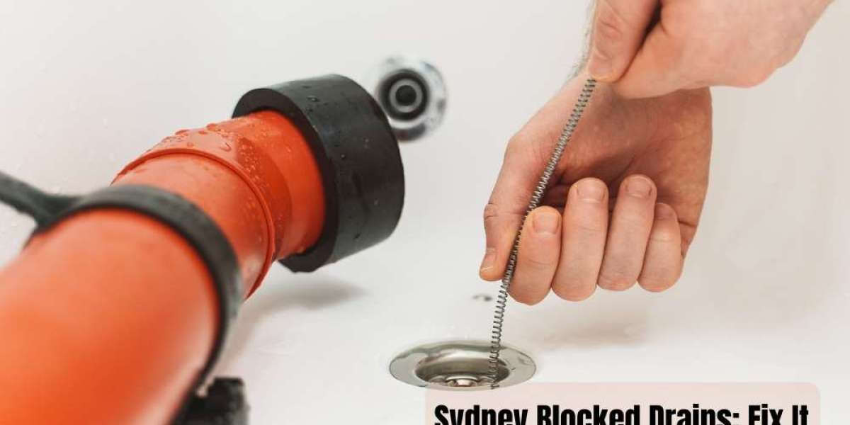 Sydney Blocked Drains: Fix It Before It Floods