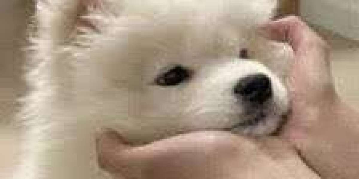 Many are made from 100% recycled cardboard