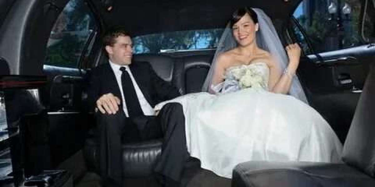 Top Limousine Services for Elegant Wedding Limo Rental in Toronto