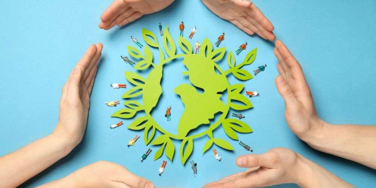 Peace Initiatives A Clear Path Toward a Fair Global Future