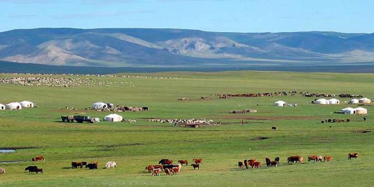 Explore the Enchanting Wonders of Mongolia: A Journey Through Untamed Beauty