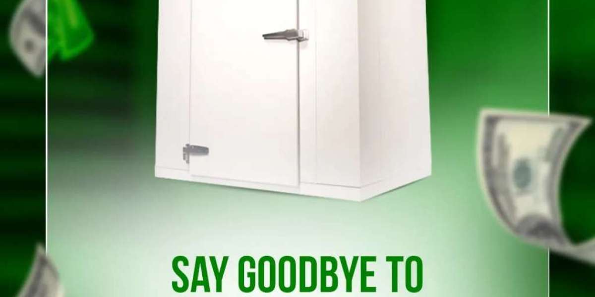 The Ultimate Guide to Choosing the Right Walk in Freezer for Your Business