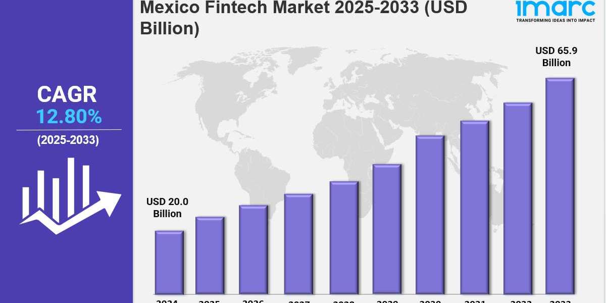 Mexico Fintech Market Size, Share, Trends, Growth Factors and Forecast 2025-2033
