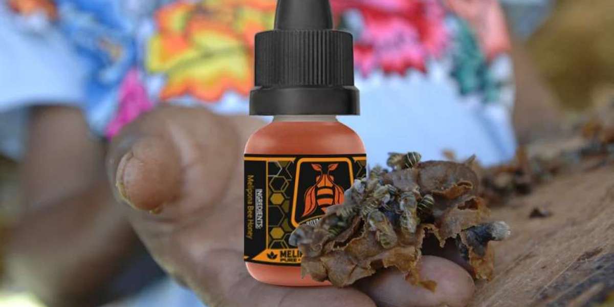 Royal Bee Honey: A Luxury Honey with Worldwide Appeal