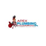 Apex Plumbing Services