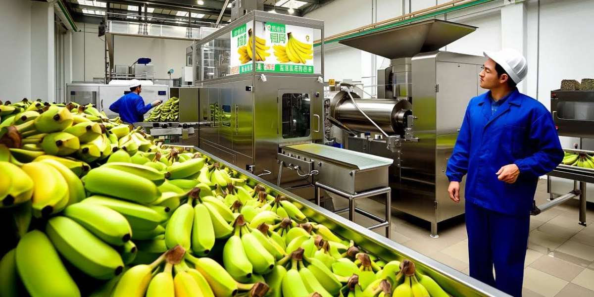 Banana Processing Plant Setup in Saudi Arabia: Cost Analysis and Investment Opportunities