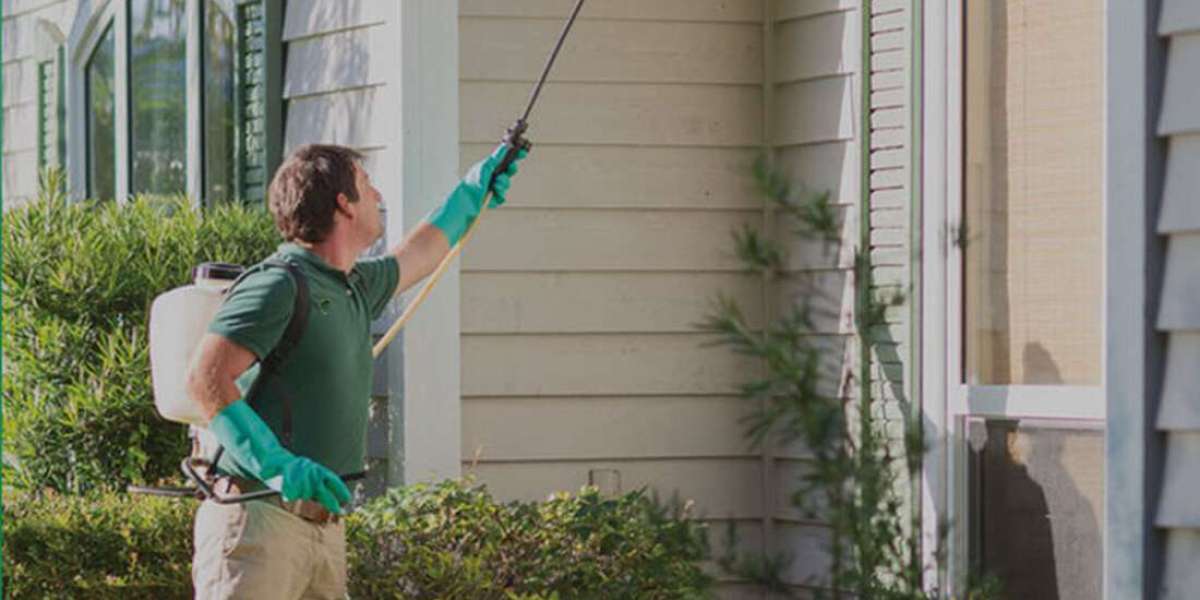 Defend Your Home: Discover the Best Pest Control Services Near You