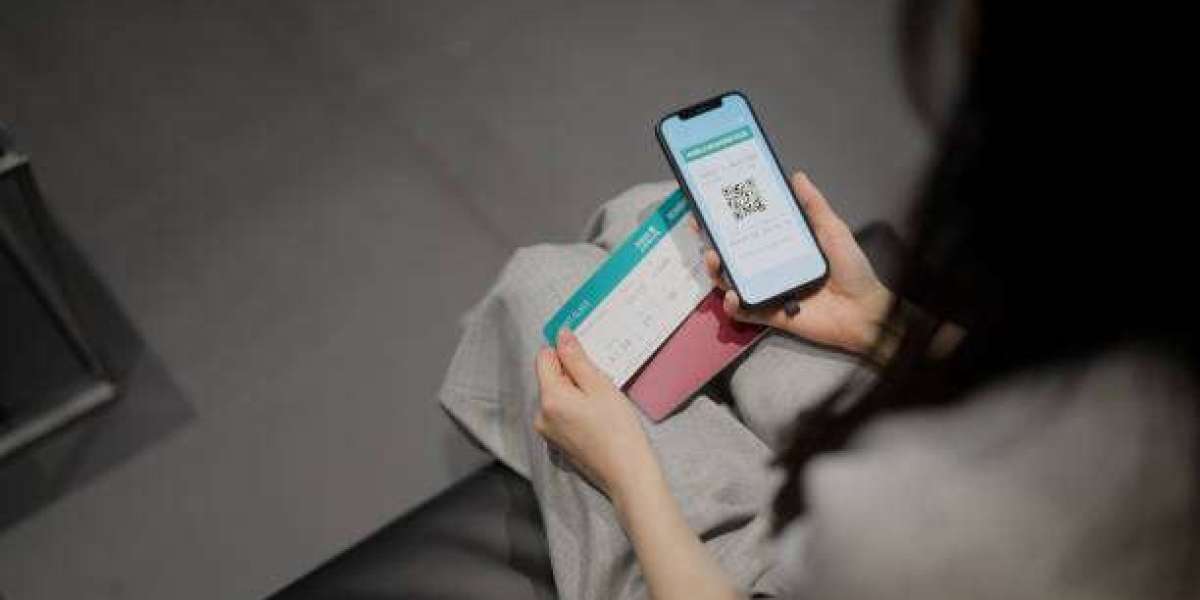 How to Apply for a 30 Days Multiple Entry Visa Online