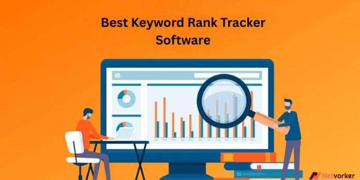 Best Keyword Rank Tracker Software