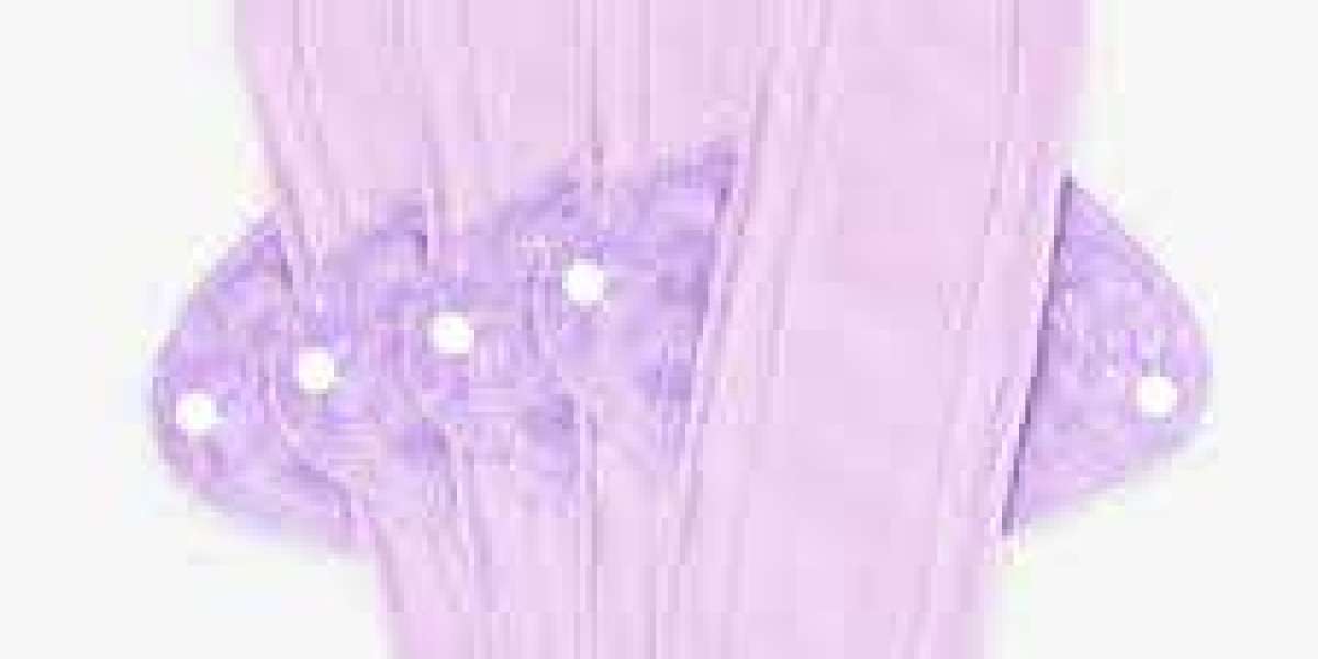 Reusable Sanitary Pads Market competitive strategies focusing on pricing, innovation, and global distribution networks