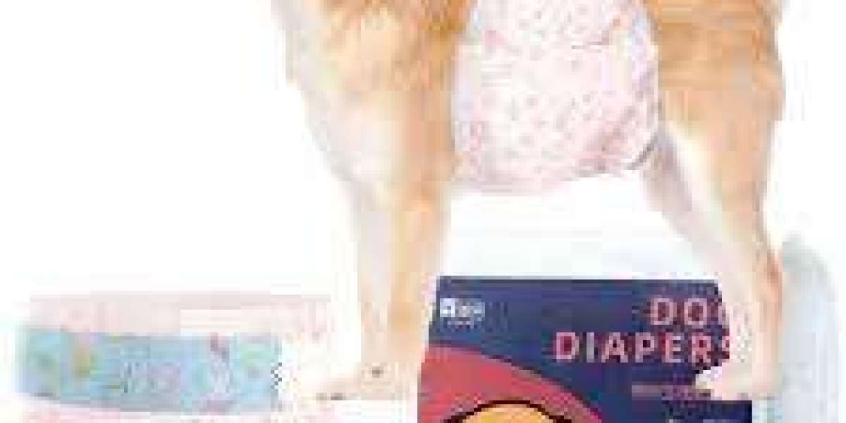 Pet Diaper Market trends examining consumer interest in comfort, hygiene, and convenience products