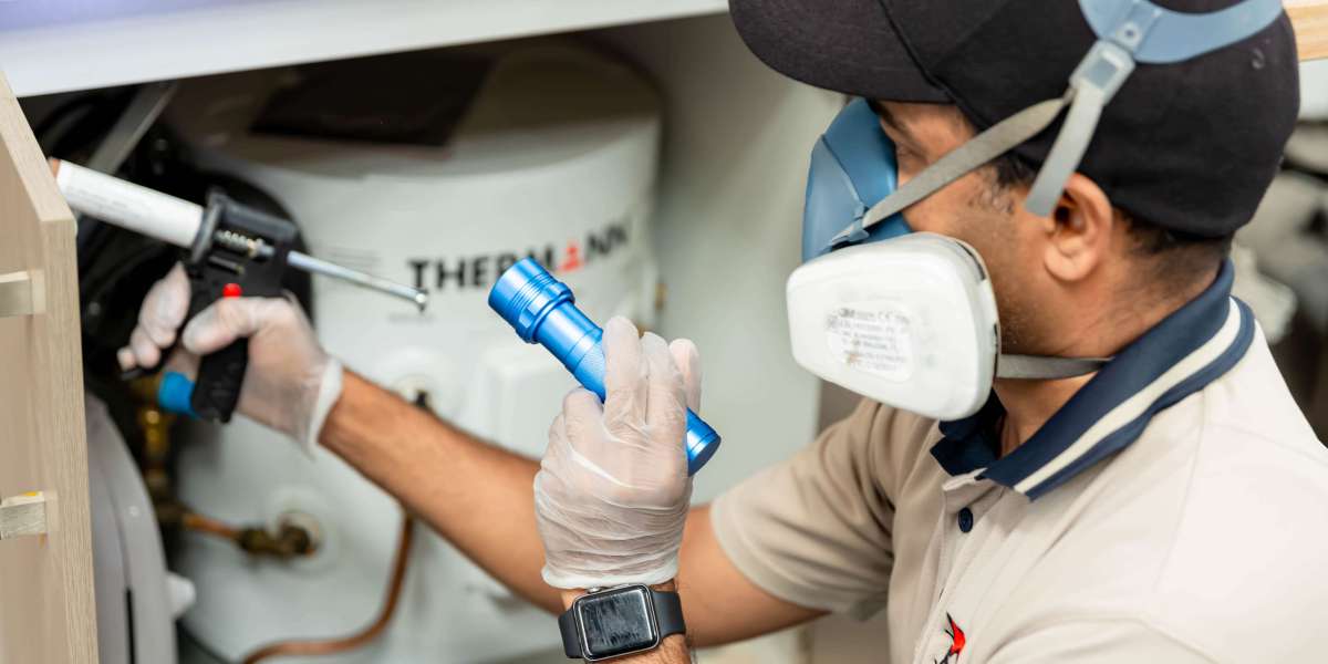 How to Get Rid of Common Pests in Melbourne Homes Effectively