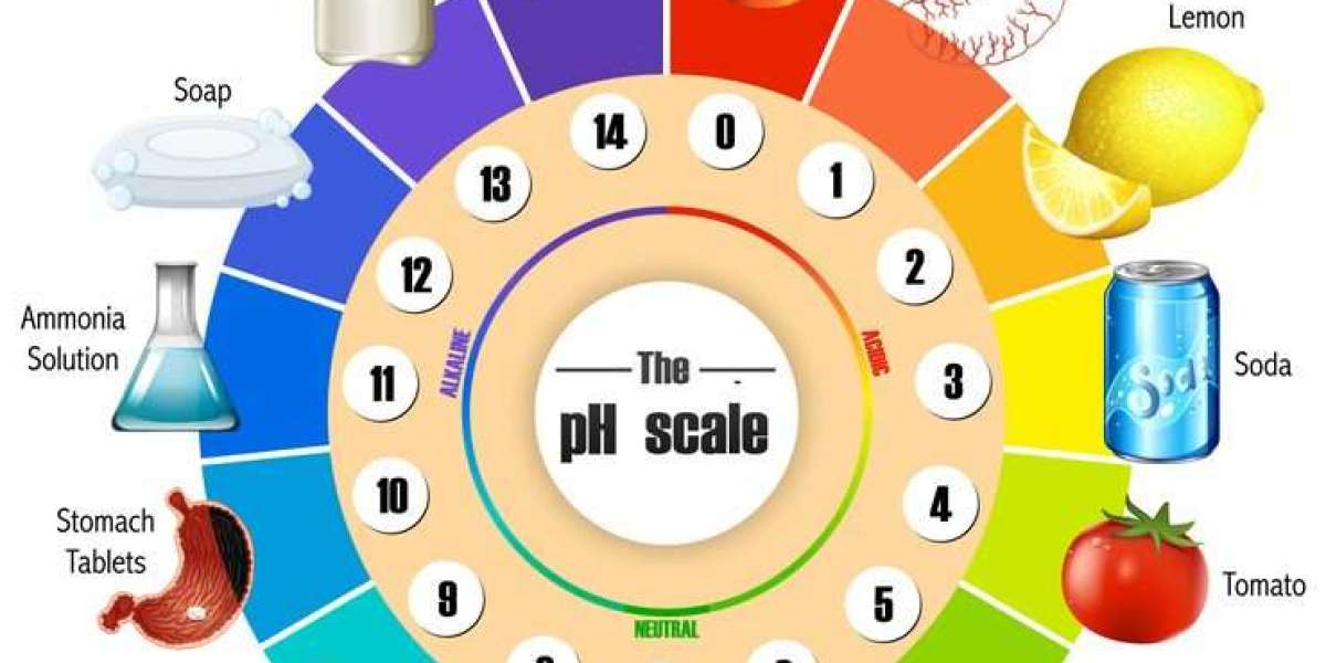 The Connection Between Pallet Dimensioning and Freight Cost Accuracy