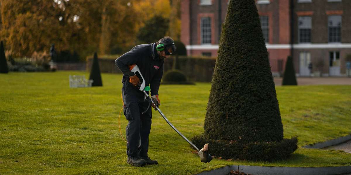 How Landscaping Services in Hammond, LA Protect Plants from Weather