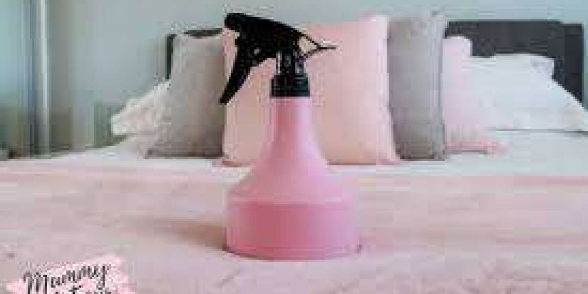 Fabric Freshener Market impact of online reviews and social media influence on buying decisions