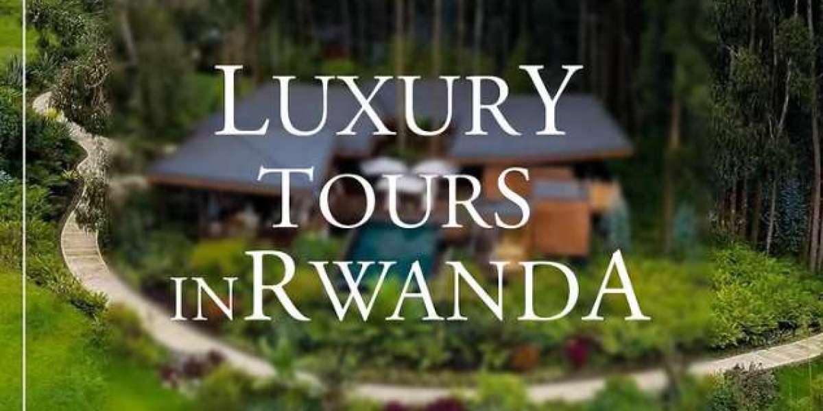 Discover Rwanda: Your Ultimate Travel Agency Guide