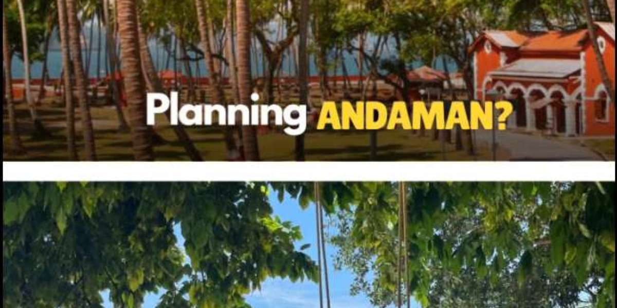 Unlock the Andaman Adventure: Why Booking Through Travel Agencies Lets You Explore Smarter